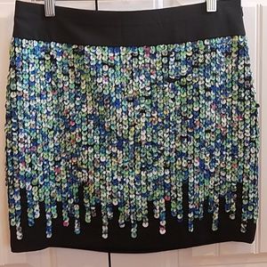 Ann Taylor Skirt